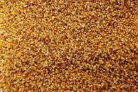 Artemia-Eier dekapsuliert (zur Direktverfütterung) / 75ml Guppy4friends' PREMIUM Qualität - Guppy4Friends