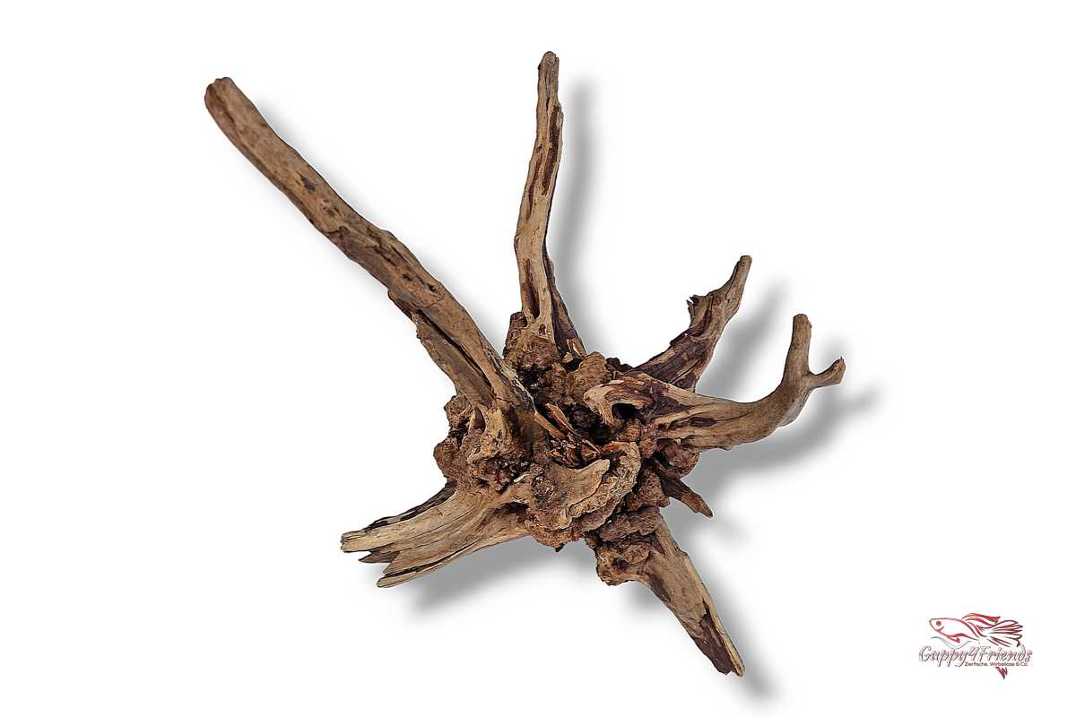 Aquariumwurzel-Aquariumdeko-Black-Slim-Wood-Blackslimwood-Neuheit-Einrichtung-Aquarium-Flussaquarium-Biotop-Natur-Deko-Dekoration-Holz-Wood