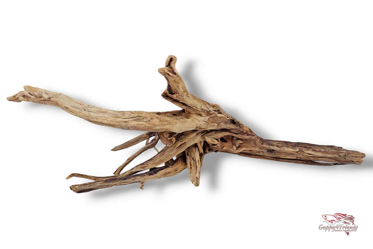 Black-Slim-Wood-Aquariumwurzel-Aquariumdeko-Black-Slim-Wood-Blackslimwood-Neuheit-Einrichtung-Aquarium-Flussaquarium-Biotop-Natur-Deko-Dekoration-Holz-Wood
