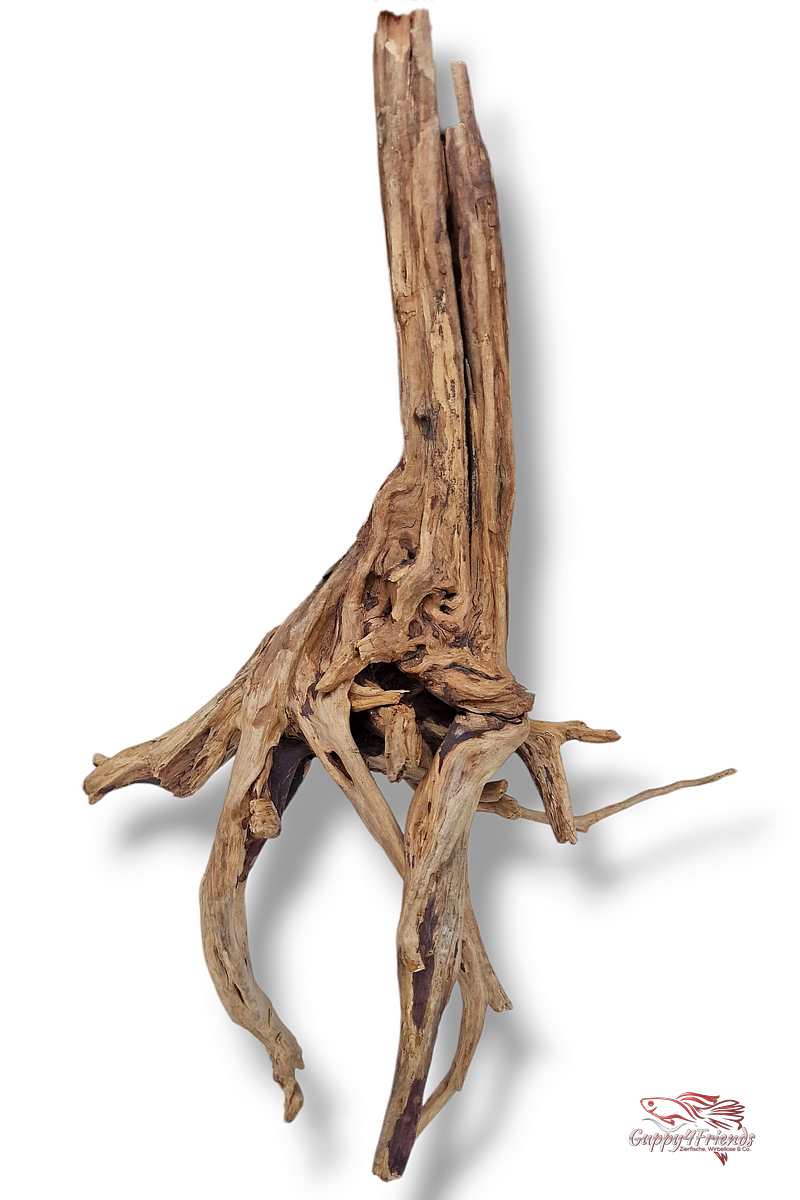 Black-Slim-Wood-Aquariumwurzel-Aquariumdeko-Black-Slim-Wood-Blackslimwood-Neuheit-Einrichtung-Aquarium-Flussaquarium-Biotop-Natur-Deko-Dekoration-Holz-Wood