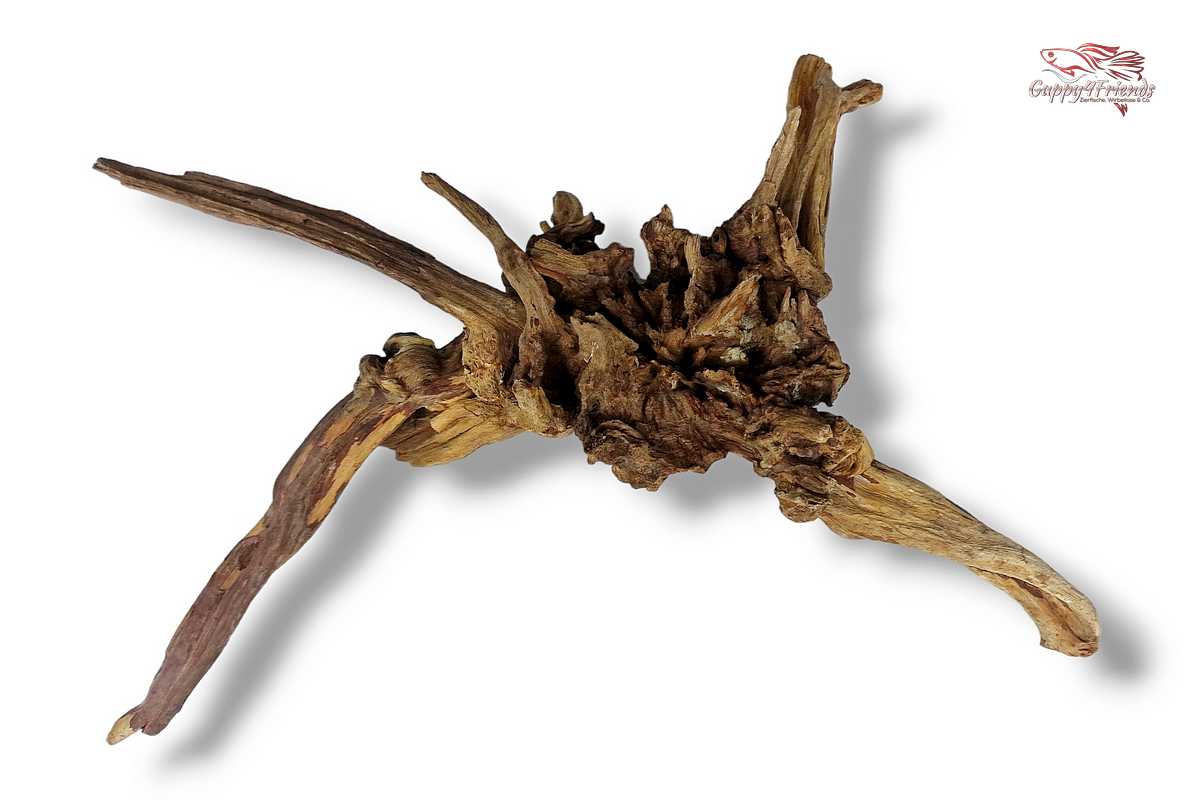 Black-Slim-Wood-Aquariumwurzel-Aquariumdeko-Black-Slim-Wood-Blackslimwood-Neuheit-Einrichtung-Aquarium-Flussaquarium-Biotop-Natur-Deko-Dekoration-Holz-Wood