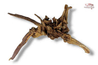 Black-Slim-Wood-Aquariumwurzel-Aquariumdeko-Black-Slim-Wood-Blackslimwood-Neuheit-Einrichtung-Aquarium-Flussaquarium-Biotop-Natur-Deko-Dekoration-Holz-Wood