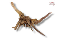 Black-Slim-Wood-Aquariumwurzel-Aquariumdeko-Black-Slim-Wood-Blackslimwood-Neuheit-Einrichtung-Aquarium-Flussaquarium-Biotop-Natur-Deko-Dekoration-Holz-Wood