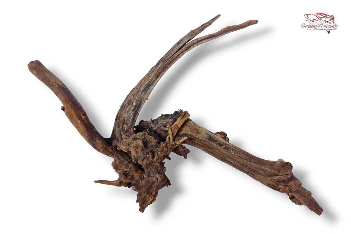 Black-Slim-Wood-Aquascaping-Scaperswood-schlange-Wurzeln-verschnörkelt-Aquariumlandschaft-Aquariumwurzeln-Holz-Wurzeln-Einrichtung-Naturdeko