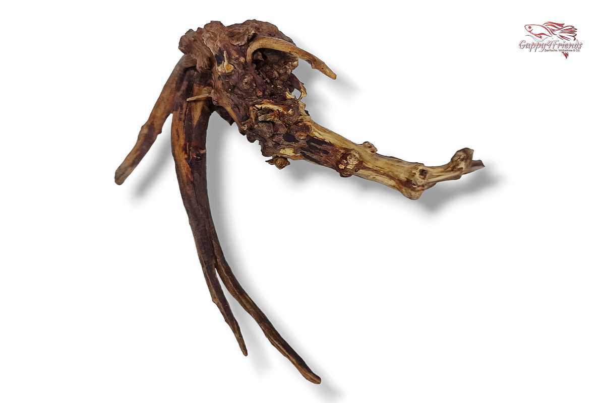 Black-Slim-Wood-Aquascaping-Scaperswood-schlange-Wurzeln-verschnörkelt-Aquariumlandschaft-Aquariumwurzeln-Holz-Wurzeln-Einrichtung-Naturdeko-Natur-Dekoration