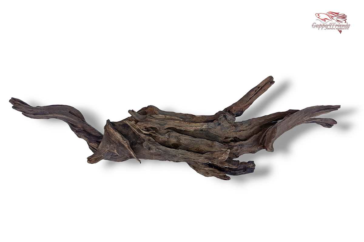 Black-Slim-Wood-Aquariumwurzel-Aquariumdeko-Black-Slim-Wood-Blackslimwood-Neuheit-Einrichtung-Aquarium-Flussaquarium-Biotop-Natur-Deko-Dekoration-Holz-Wood-dunkles-Holz-dunkel