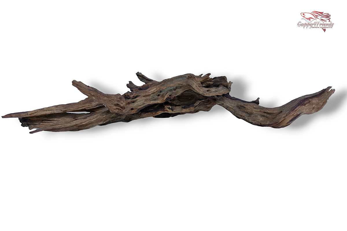 Black-Slim-Wood-Aquariumwurzel-Aquariumdeko-Black-Slim-Wood-Blackslimwood-Neuheit-Einrichtung-Aquarium-Flussaquarium-Biotop-Natur-Deko-Dekoration-Holz-Wood-dunkles-Holz-dunkel