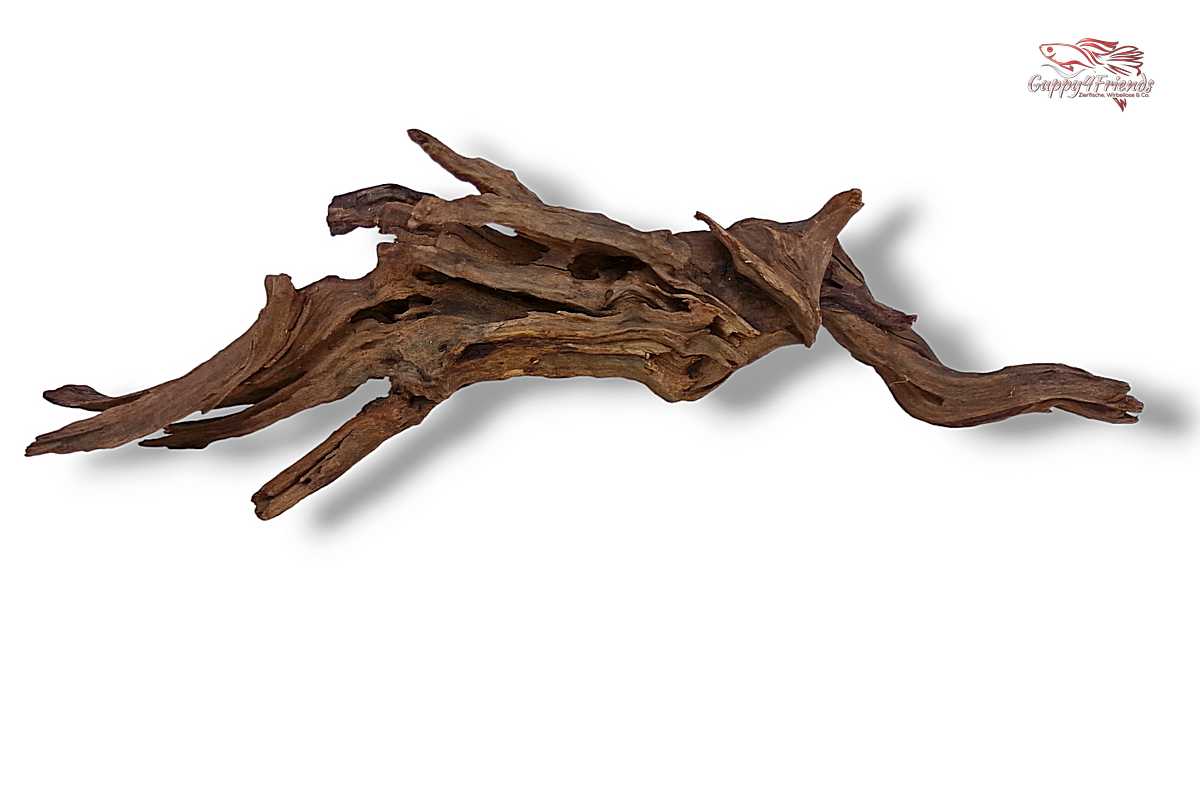 Black-Slim-Wood-Aquariumwurzel-Aquariumdeko-Black-Slim-Wood-Blackslimwood-Neuheit-Einrichtung-Aquarium-Flussaquarium-Biotop-Natur-Deko-Dekoration-Holz-Wood-dunkles-Holz-dunkel