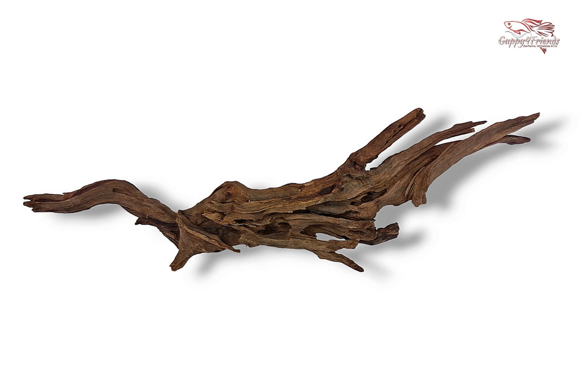 Black-Slim-Wood-Aquariumwurzel-Aquariumdeko-Black-Slim-Wood-Blackslimwood-Neuheit-Einrichtung-Aquarium-Flussaquarium-Biotop-Natur-Deko-Dekoration-Holz-Wood-dunkles-Holz-dunkel