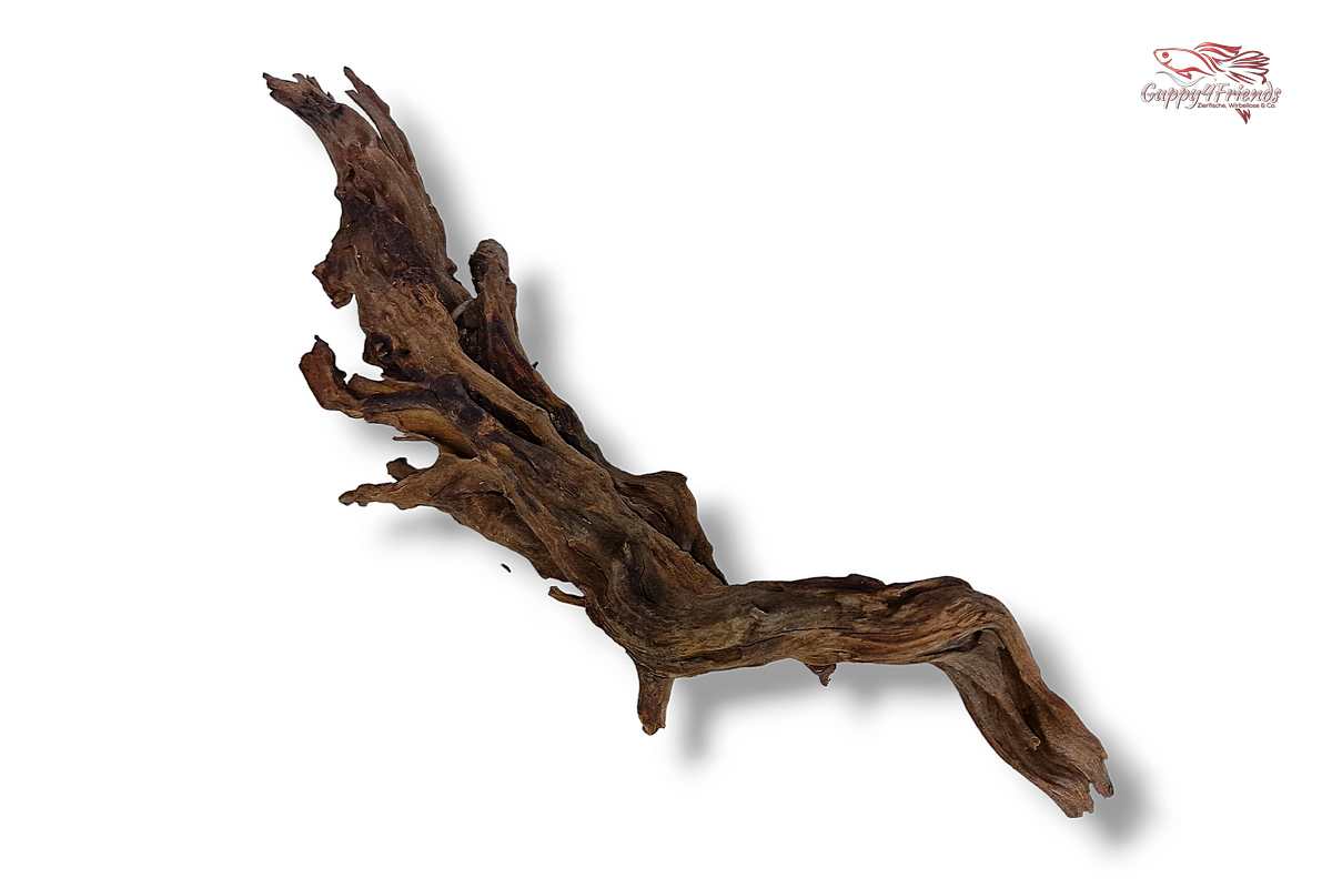 Black-Slim-Wood-Aquariumwurzel-Aquariumdeko-Black-Slim-Wood-Blackslimwood-Neuheit-Einrichtung-Aquarium-Flussaquarium-Biotop-Natur-Deko-Dekoration-Holz-Wood-dunkles-Holz-dunkel