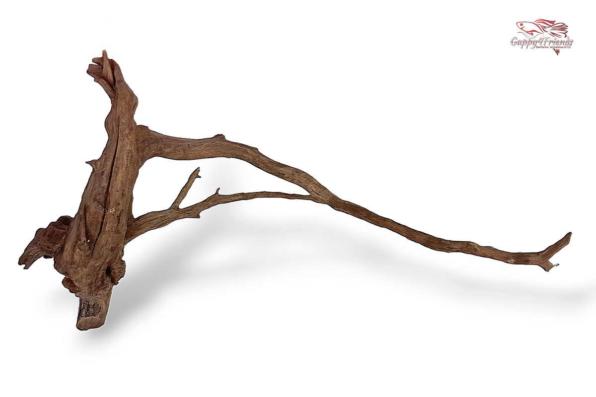 Black-Slim-Wood-Aquariumwurzel-Aquariumdeko-Black-Slim-Wood-Blackslimwood-Neuheit-Einrichtung-Aquarium-Flussaquarium-Biotop-Natur-Deko-Dekoration-Holz-Wood-dunkles-Holz-dunkel