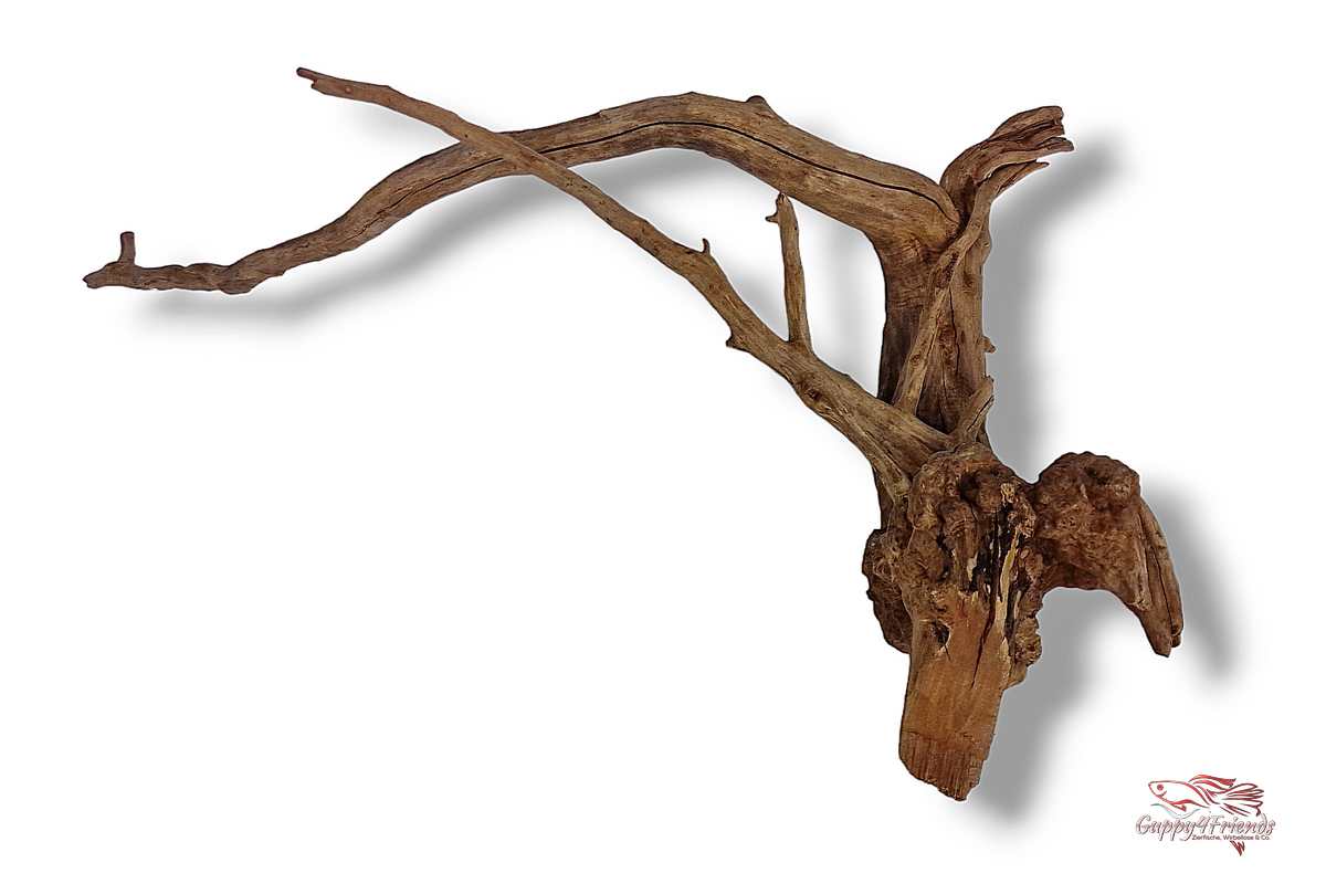 Black-Slim-Wood-Aquariumwurzel-Aquariumdeko-Black-Slim-Wood-Blackslimwood-Neuheit-Einrichtung-Aquarium-Flussaquarium-Biotop-Natur-Deko-Dekoration-Holz-Wood-dunkles-Holz-dunkel
