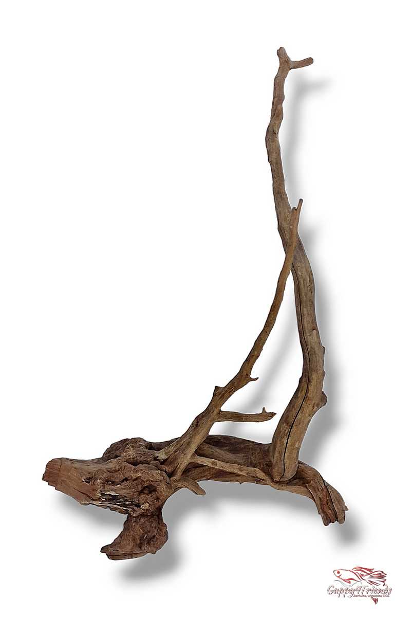 Black-Slim-Wood-Aquariumwurzel-Aquariumdeko-Black-Slim-Wood-Blackslimwood-Neuheit-Einrichtung-Aquarium-Flussaquarium-Biotop-Natur-Deko-Dekoration-Holz-Wood-dunkles-Holz-dunkel