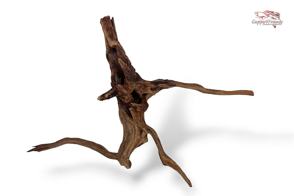 Black-Slim-Wood-Aquariumwurzel-Aquariumdeko-Black-Slim-Wood-Blackslimwood-Neuheit-Einrichtung-Aquarium-Flussaquarium-Biotop-Natur-Deko-Dekoration-Holz-Wood-dunkles-Holz-dunkel
