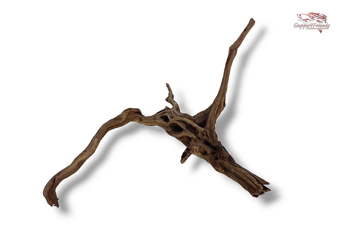 Black-Slim-Wood-Aquariumwurzel-Aquariumdeko-Black-Slim-Wood-Blackslimwood-Neuheit-Einrichtung-Aquarium-Flussaquarium-Biotop-Natur-Deko-Dekoration-Holz-Wood-dunkles-Holz-dunkel