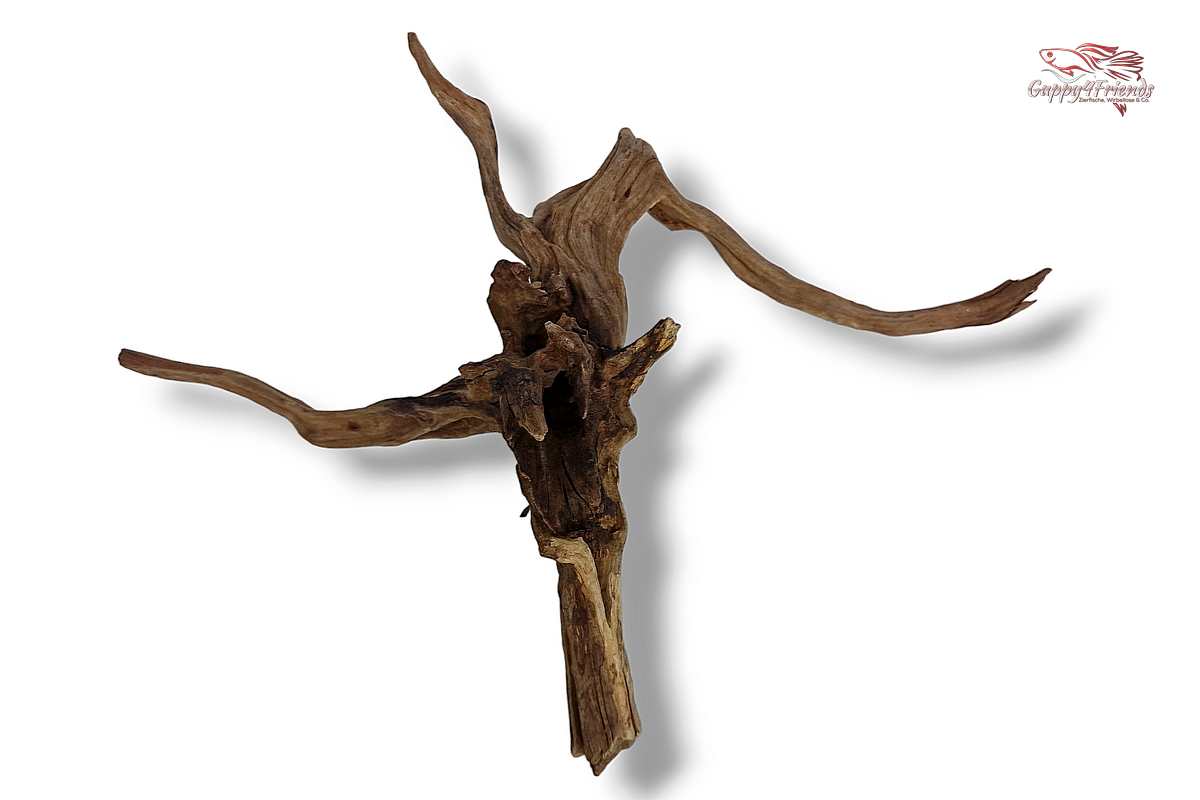 Black-Slim-Wood-Aquariumwurzel-Aquariumdeko-Black-Slim-Wood-Blackslimwood-Neuheit-Einrichtung-Aquarium-Flussaquarium-Biotop-Natur-Deko-Dekoration-Holz-Wood-dunkles-Holz-dunkel