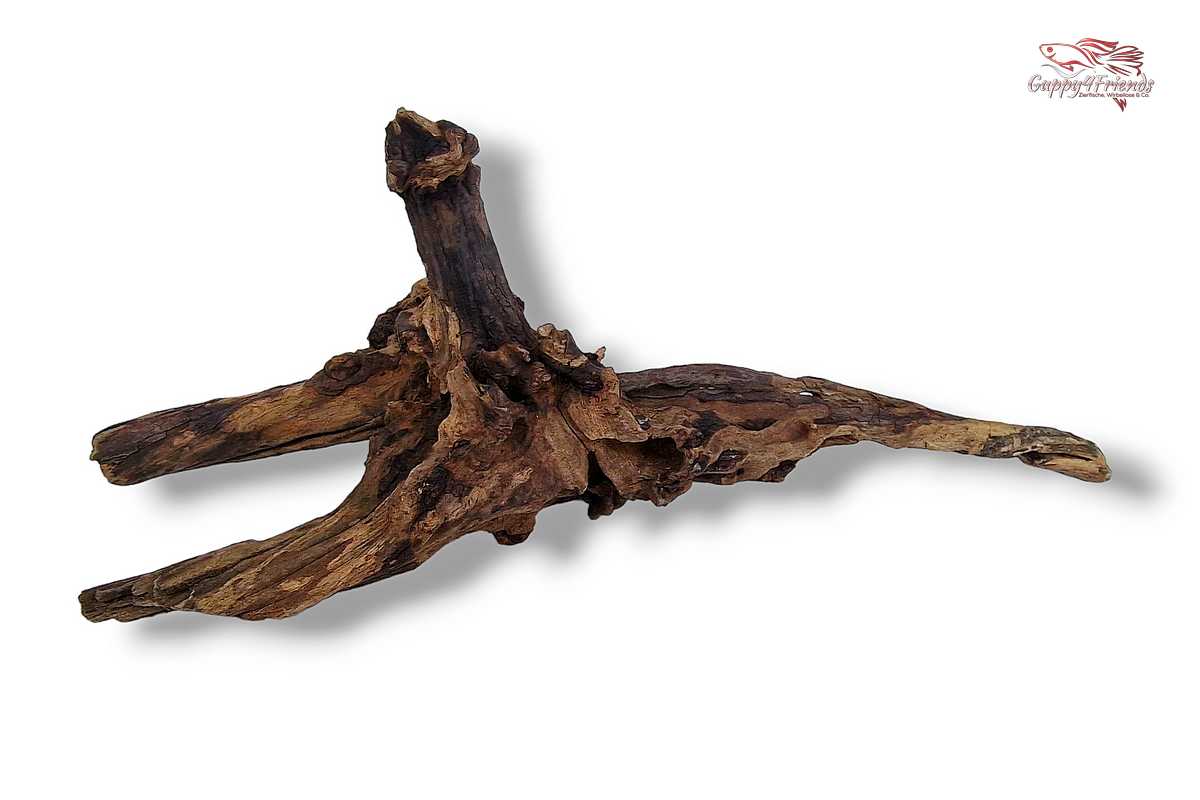Black-Slim-Wood-Aquascaping-Scaperswood-schlange-Wurzeln-verschnörkelt-Aquariumlandschaft-Aquariumwurzeln-Holz-Wurzeln-Einrichtung-Naturdeko