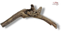 Black-Slim-Wood-Aquascaping-Scaperswood-schlange-Wurzeln-verschnörkelt-Aquariumlandschaft-Aquariumwurzeln-Holz-Wurzeln-Einrichtung-Naturdeko