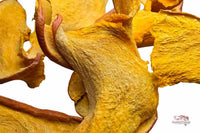 Hokkaido-Kürbis Chips 10g / Garnelen, Schnecken & Wels-Futter