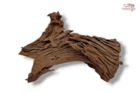 Aquariumwurzel-Aquariumeinrichtung-Aquariumdeko-Mangrove-Mangrovenwurzel-Mangrovenholz-massives-Holz-wuchtige-Optik-Holz-Klassiker-Aquariumwurzeln-L-Welse-Versteckmöglichkeiten-Bepflanzung