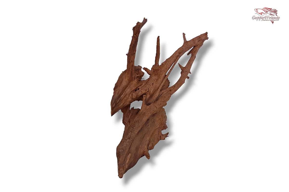 Aquariumwurzel-Aquariumeinrichtung-Aquariumdeko-Mangrove-Mangrovenwurzel-Mangrovenholz-massives-Holz-wuchtige-Optik-Holz-Klassiker-Aquariumwurzeln-L-Welse-Versteckmöglichkeiten-Bepflanzung