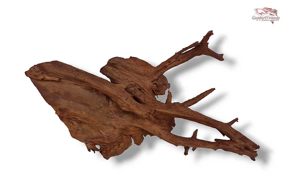 Aquariumwurzel-Aquariumeinrichtung-Aquariumdeko-Mangrove-Mangrovenwurzel-Mangrovenholz-massives-Holz-wuchtige-Optik-Holz-Klassiker-Aquariumwurzeln-L-Welse-Versteckmöglichkeiten-Bepflanzung