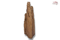 Aquariumwurzel-Aquariumeinrichtung-Aquariumdeko-Mangrove-Mangrovenwurzel-Mangrovenholz-massives-Holz-wuchtige-Optik-Holz-Klassiker-Aquariumwurzeln-L-Welse-Versteckmöglichkeiten-Bepflanzung