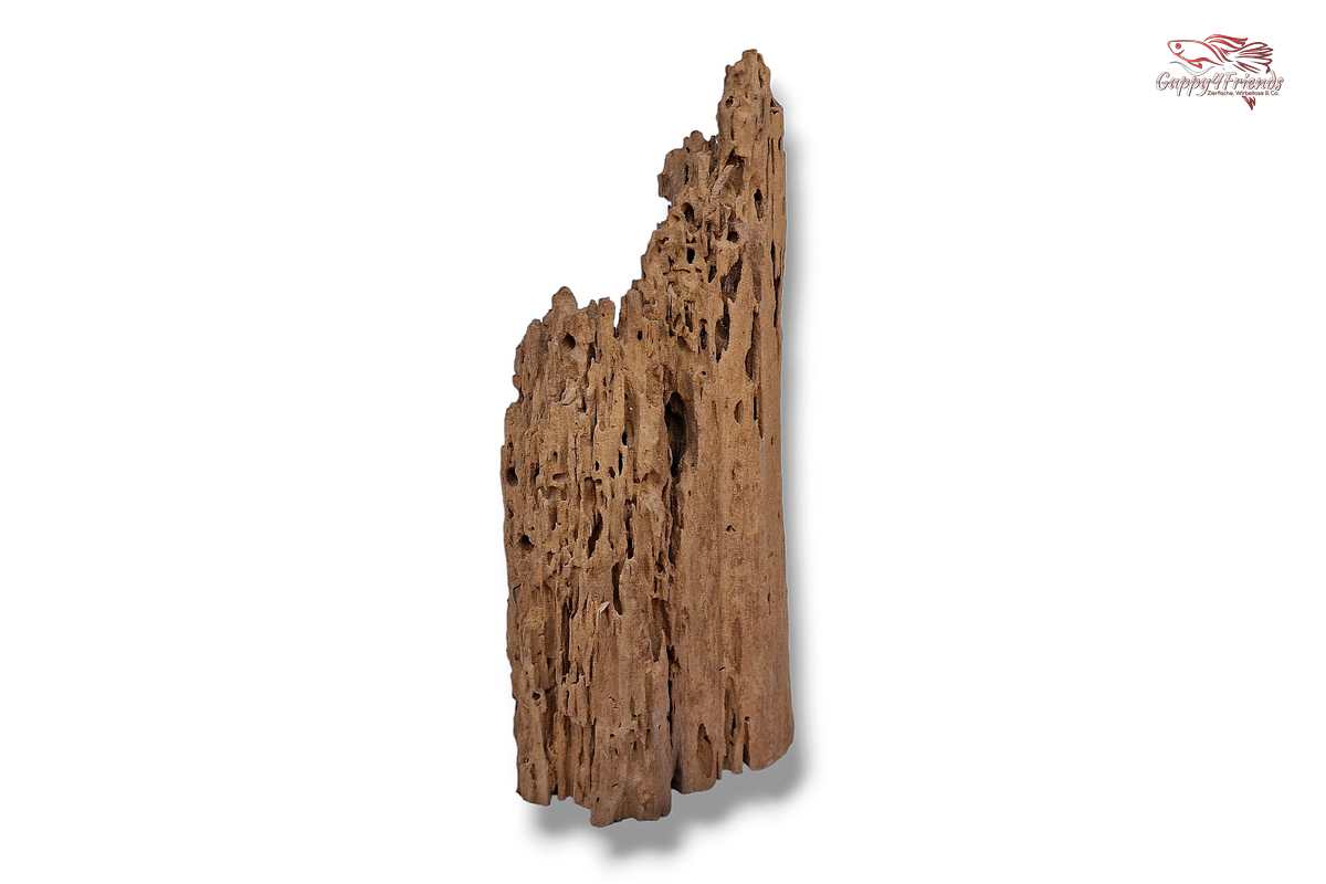 Aquariumwurzel-Aquariumeinrichtung-Aquariumdeko-Mangrove-Mangrovenwurzel-Mangrovenholz-massives-Holz-wuchtige-Optik-Holz-Klassiker-Aquariumwurzeln-L-Welse-Versteckmöglichkeiten-Bepflanzung