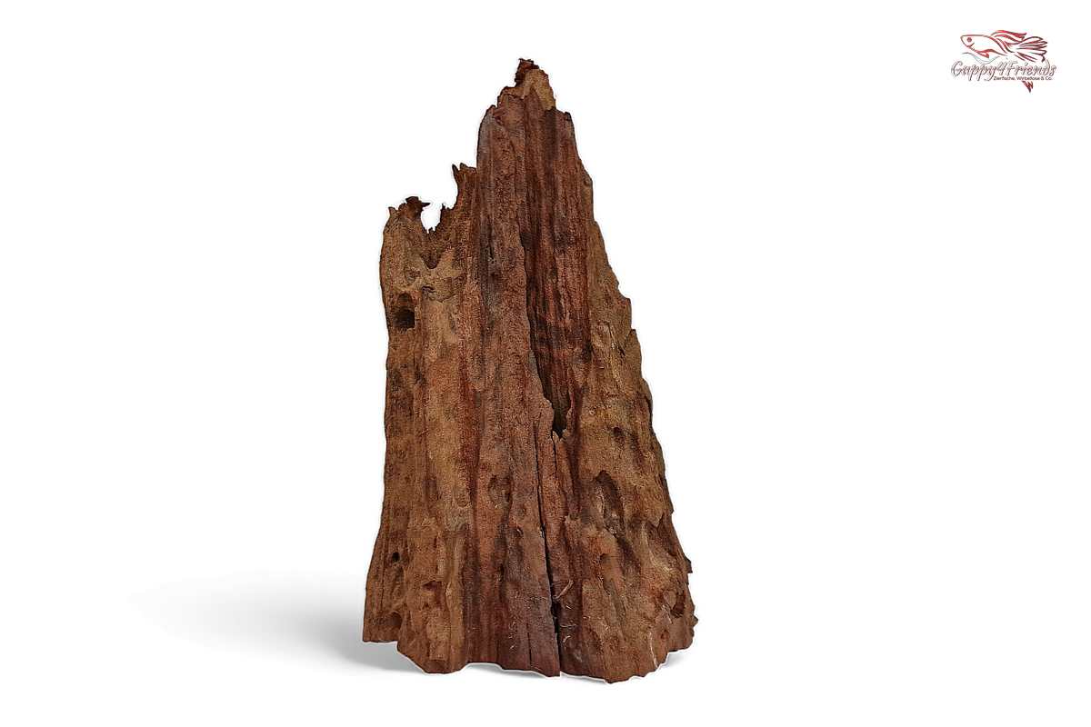 Aquariumwurzel-Aquariumeinrichtung-Aquariumdeko-Mangrove-Mangrovenwurzel-Mangrovenholz-massives-Holz-wuchtige-Optik-Holz-Klassiker-Aquariumwurzeln-L-Welse-Versteckmöglichkeiten-Bepflanzung