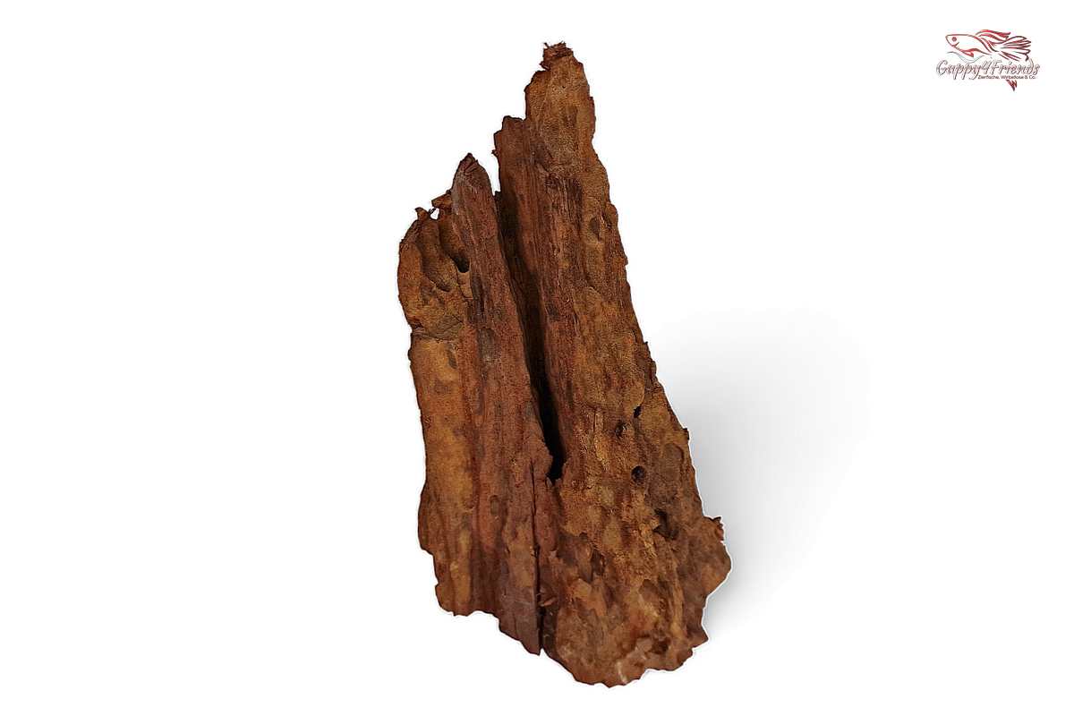 Aquariumwurzel-Aquariumeinrichtung-Aquariumdeko-Mangrove-Mangrovenwurzel-Mangrovenholz-massives-Holz-wuchtige-Optik-Holz-Klassiker-Aquariumwurzeln-L-Welse-Versteckmöglichkeiten-Bepflanzung