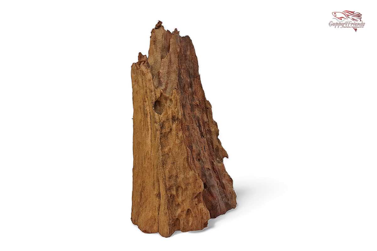 Aquariumwurzel-Aquariumeinrichtung-Aquariumdeko-Mangrove-Mangrovenwurzel-Mangrovenholz-massives-Holz-wuchtige-Optik-Holz-Klassiker-Aquariumwurzeln-L-Welse-Versteckmöglichkeiten-Bepflanzung