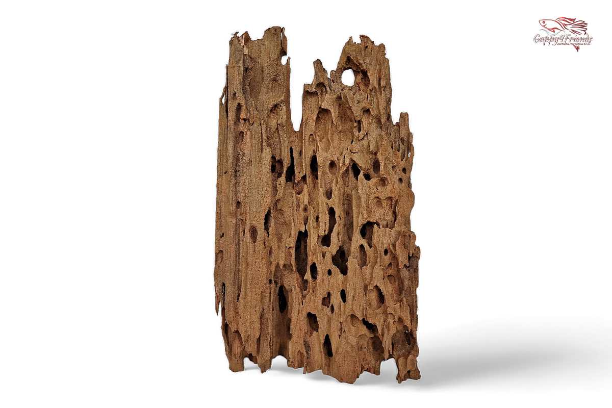 Aquariumwurzel-Aquariumeinrichtung-Aquariumdeko-Mangrove-Mangrovenwurzel-Mangrovenholz-massives-Holz-wuchtige-Optik-Holz-Klassiker-Aquariumwurzeln-L-Welse-Versteckmöglichkeiten-Bepflanzung