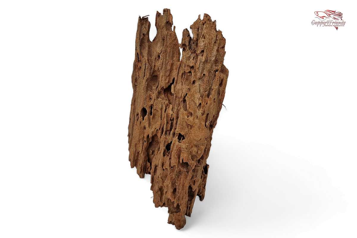 Aquariumwurzel-Aquariumeinrichtung-Aquariumdeko-Mangrove-Mangrovenwurzel-Mangrovenholz-massives-Holz-wuchtige-Optik-Holz-Klassiker-Aquariumwurzeln-L-Welse-Versteckmöglichkeiten-Bepflanzung
