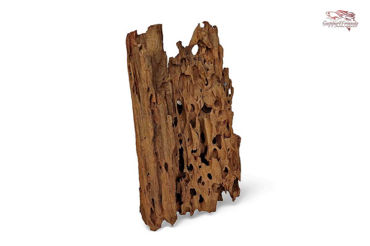 Aquariumwurzel-Aquariumeinrichtung-Aquariumdeko-Mangrove-Mangrovenwurzel-Mangrovenholz-massives-Holz-wuchtige-Optik-Holz-Klassiker-Aquariumwurzeln-L-Welse-Versteckmöglichkeiten-Bepflanzung