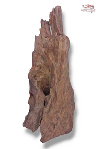 Aquariumwurzel-Aquariumeinrichtung-Aquariumdeko-Mangrove-Mangrovenwurzel-Mangrovenholz-massives-Holz-wuchtige-Optik-Holz-Klassiker-Aquariumwurzeln-L-Welse-Versteckmöglichkeiten-Bepflanzung