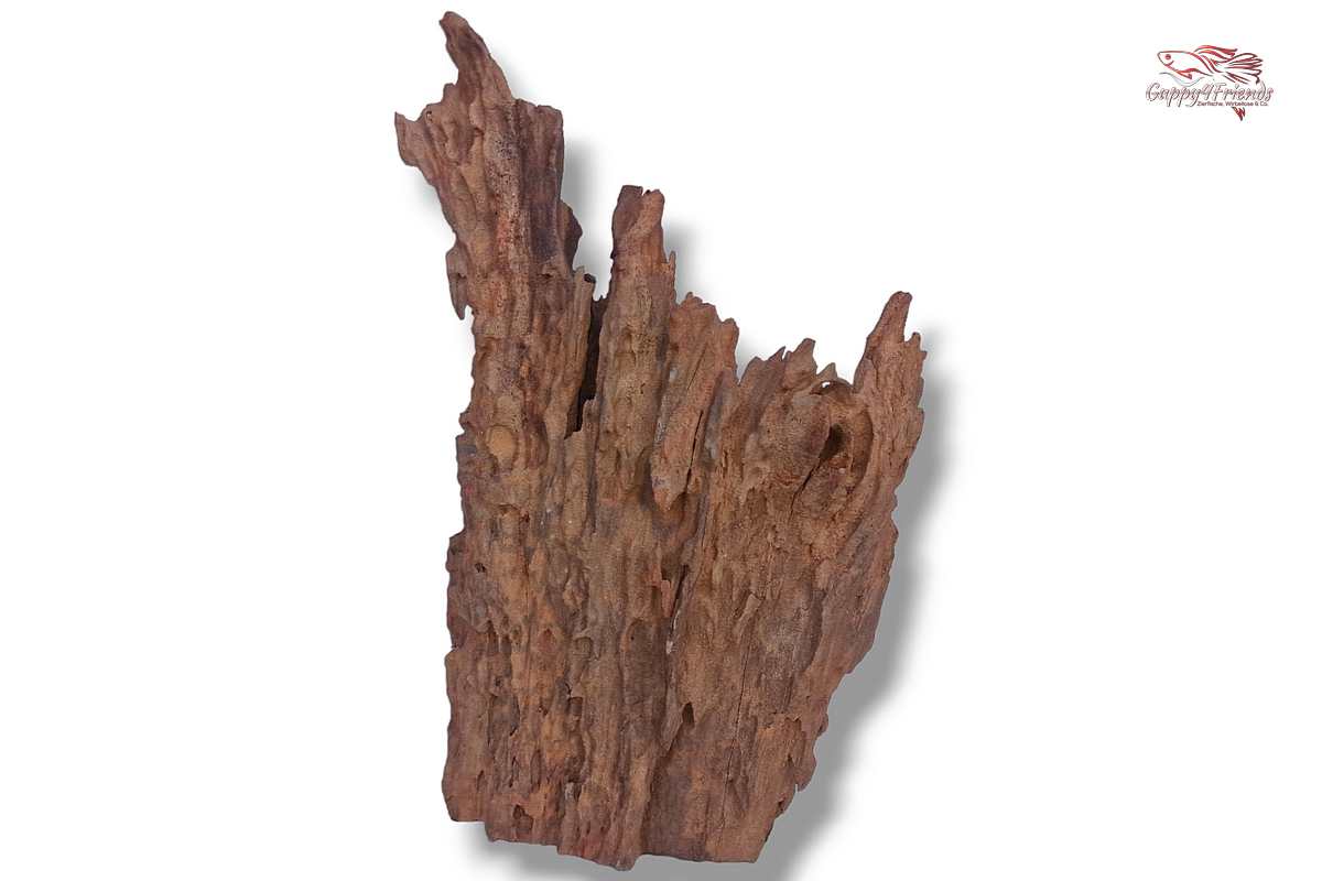 Aquariumwurzel-Aquariumeinrichtung-Aquariumdeko-Mangrove-Mangrovenwurzel-Mangrovenholz-massives-Holz-wuchtige-Optik-Holz-Klassiker-Aquariumwurzeln-L-Welse-Versteckmöglichkeiten-Bepflanzung