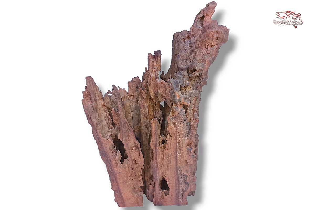 Aquariumwurzel-Aquariumeinrichtung-Aquariumdeko-Mangrove-Mangrovenwurzel-Mangrovenholz-massives-Holz-wuchtige-Optik-Holz-Klassiker-Aquariumwurzeln-L-Welse-Versteckmöglichkeiten-Bepflanzung