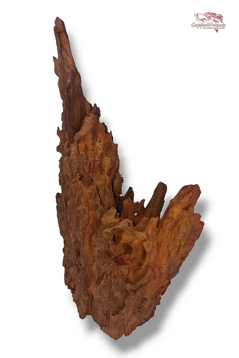 Aquariumwurzel-Aquariumeinrichtung-Aquariumdeko-Mangrove-Mangrovenwurzel-Mangrovenholz-massives-Holz-wuchtige-Optik-Holz-Klassiker-Aquariumwurzeln-L-Welse-Versteckmöglichkeiten-Bepflanzung