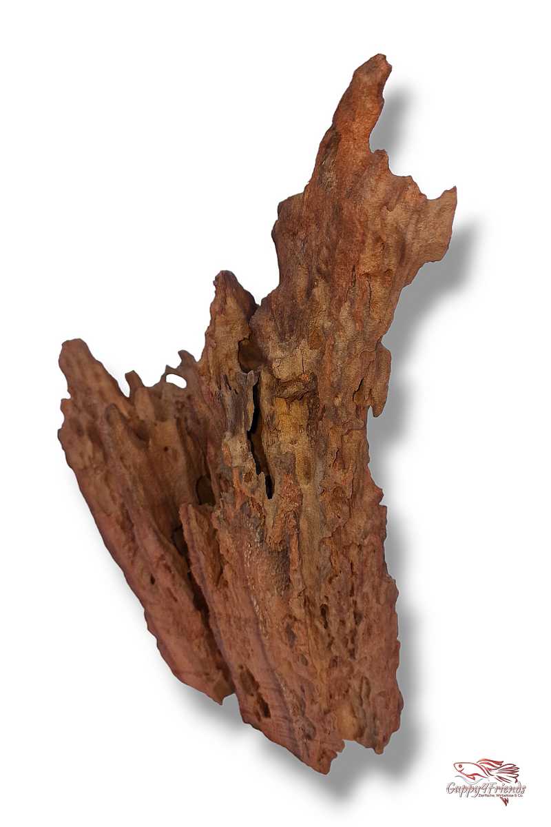 Aquariumwurzel-Aquariumeinrichtung-Aquariumdeko-Mangrove-Mangrovenwurzel-Mangrovenholz-massives-Holz-wuchtige-Optik-Holz-Klassiker-Aquariumwurzeln-L-Welse-Versteckmöglichkeiten-Bepflanzung