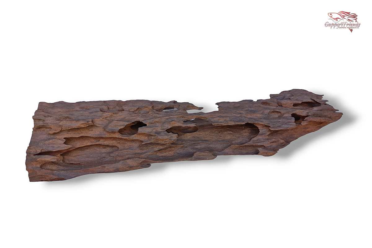 Aquariumwurzel-Aquariumeinrichtung-Aquariumdeko-Mangrove-Mangrovenwurzel-Mangrovenholz-massives-Holz-wuchtige-Optik-Holz-Klassiker-Aquariumwurzeln-L-Welse-Versteckmöglichkeiten-Bepflanzung