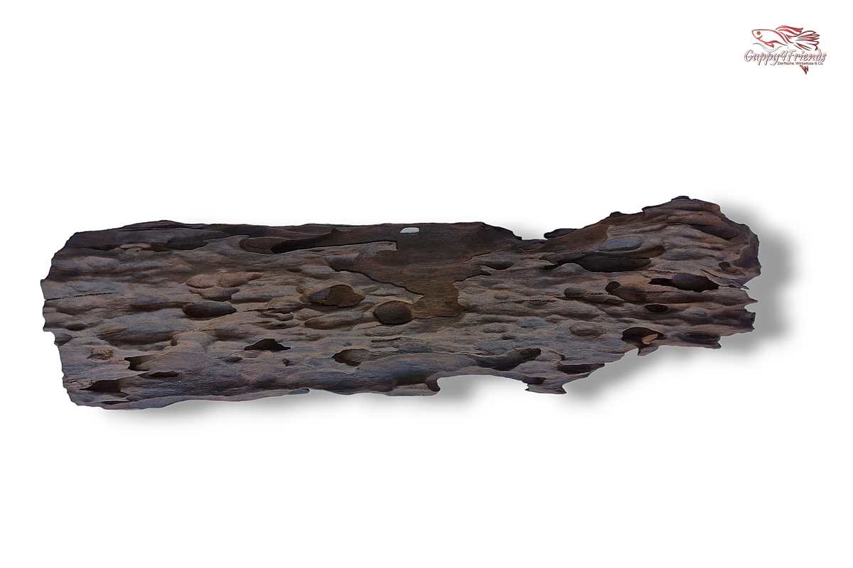 Aquariumwurzel-Aquariumeinrichtung-Aquariumdeko-Mangrove-Mangrovenwurzel-Mangrovenholz-massives-Holz-wuchtige-Optik-Holz-Klassiker-Aquariumwurzeln-L-Welse-Versteckmöglichkeiten-Bepflanzung