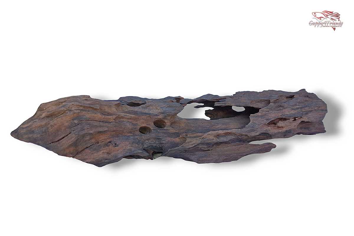 Aquariumwurzel-Aquariumeinrichtung-Aquariumdeko-Mangrove-Mangrovenwurzel-Mangrovenholz-massives-Holz-wuchtige-Optik-Holz-Klassiker-Aquariumwurzeln-L-Welse-Versteckmöglichkeiten-Bepflanzung