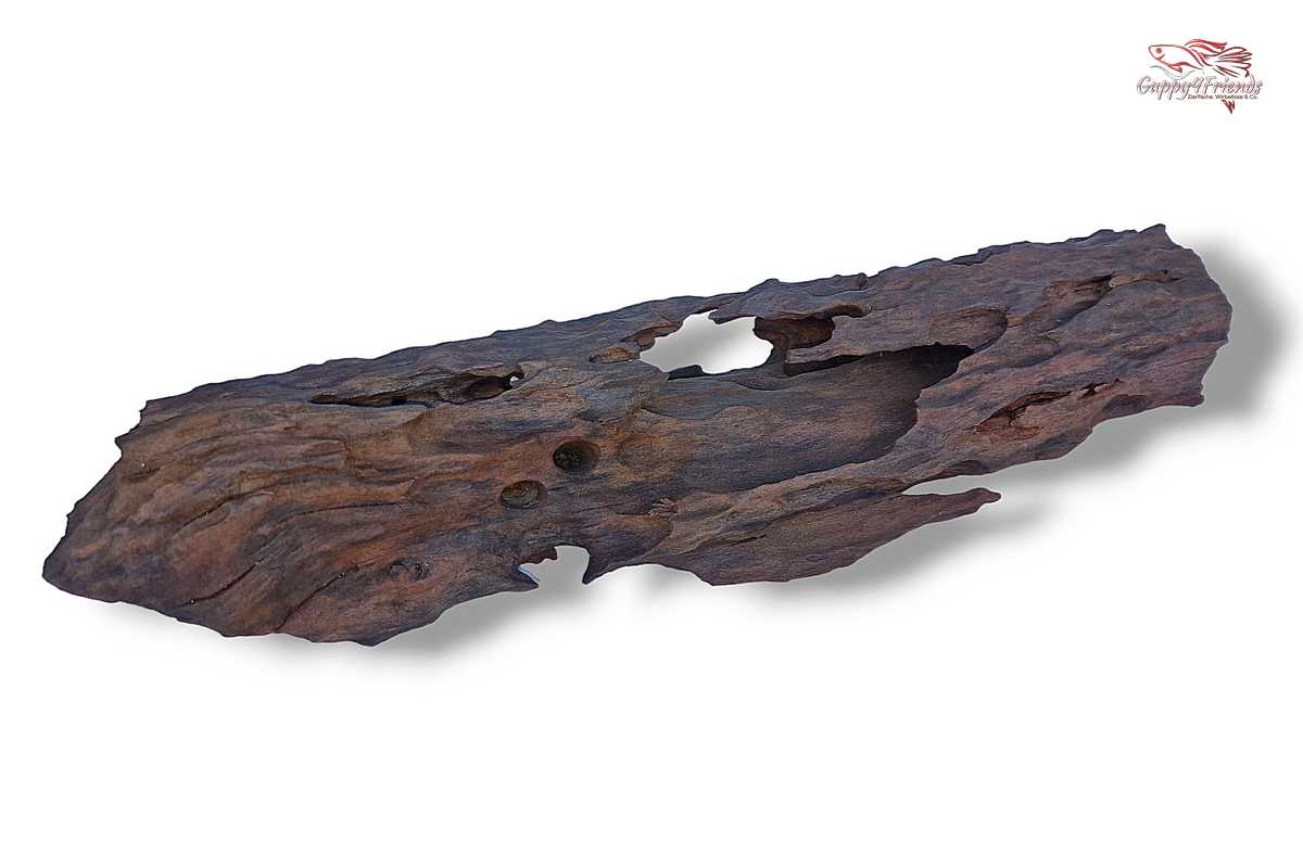 Aquariumwurzel-Aquariumeinrichtung-Aquariumdeko-Mangrove-Mangrovenwurzel-Mangrovenholz-massives-Holz-wuchtige-Optik-Holz-Klassiker-Aquariumwurzeln-L-Welse-Versteckmöglichkeiten-Bepflanzung