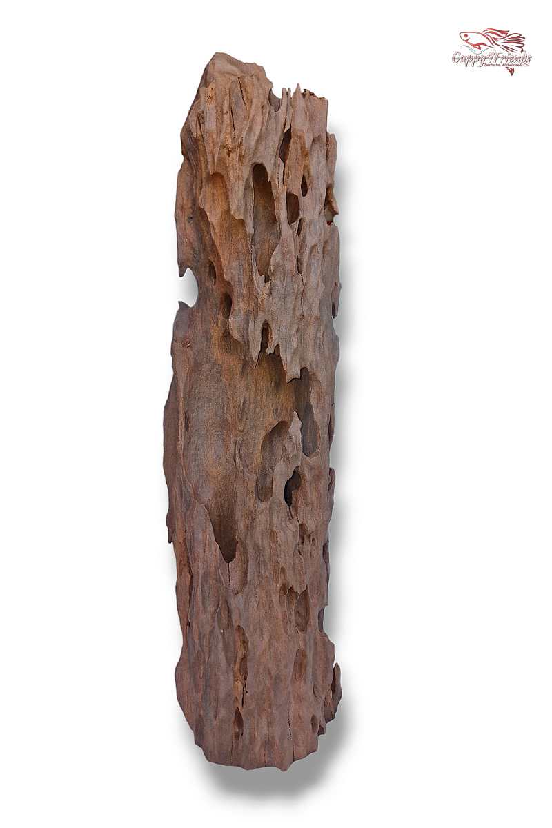Aquariumwurzel-Aquariumeinrichtung-Aquariumdeko-Mangrove-Mangrovenwurzel-Mangrovenholz-massives-Holz-wuchtige-Optik-Holz-Klassiker-Aquariumwurzeln-L-Welse-Versteckmöglichkeiten-Bepflanzung