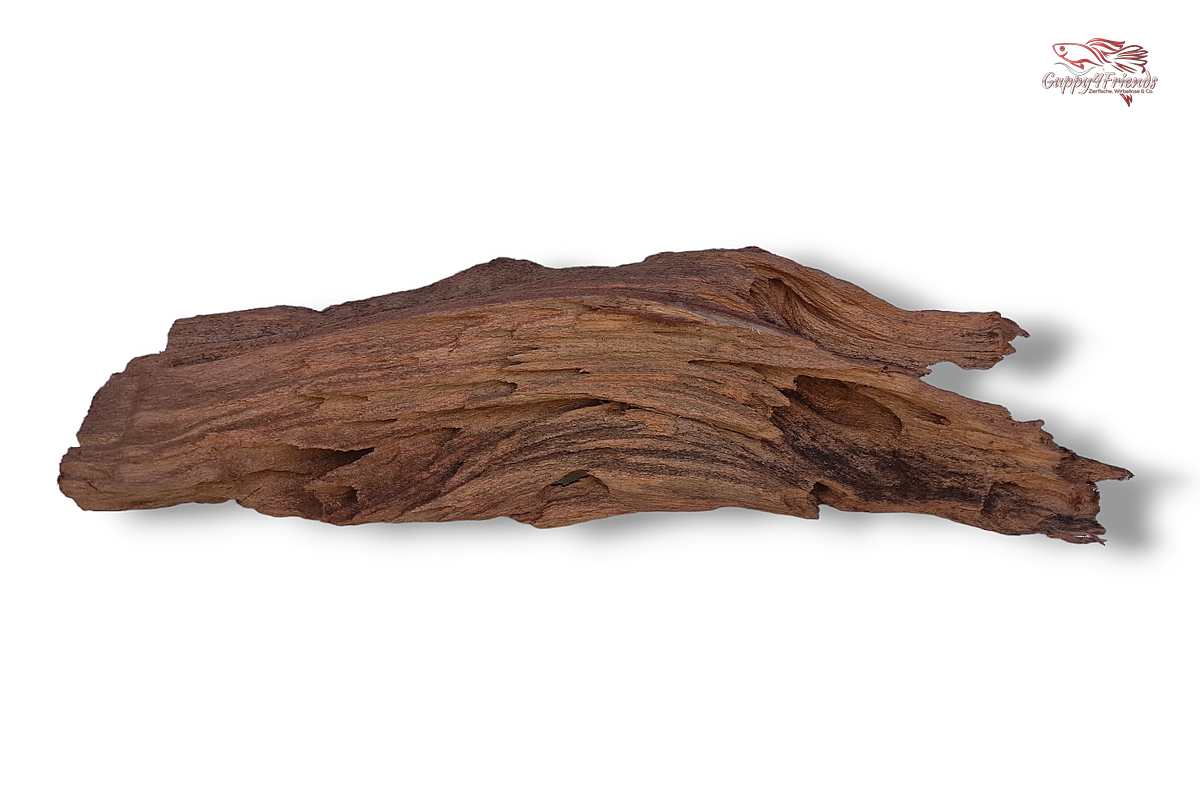 Aquariumwurzel-Aquariumeinrichtung-Aquariumdeko-Mangrove-Mangrovenwurzel-Mangrovenholz-massives-Holz-wuchtige-Optik-Holz-Klassiker-Aquariumwurzeln-L-Welse-Versteckmöglichkeiten-Bepflanzung