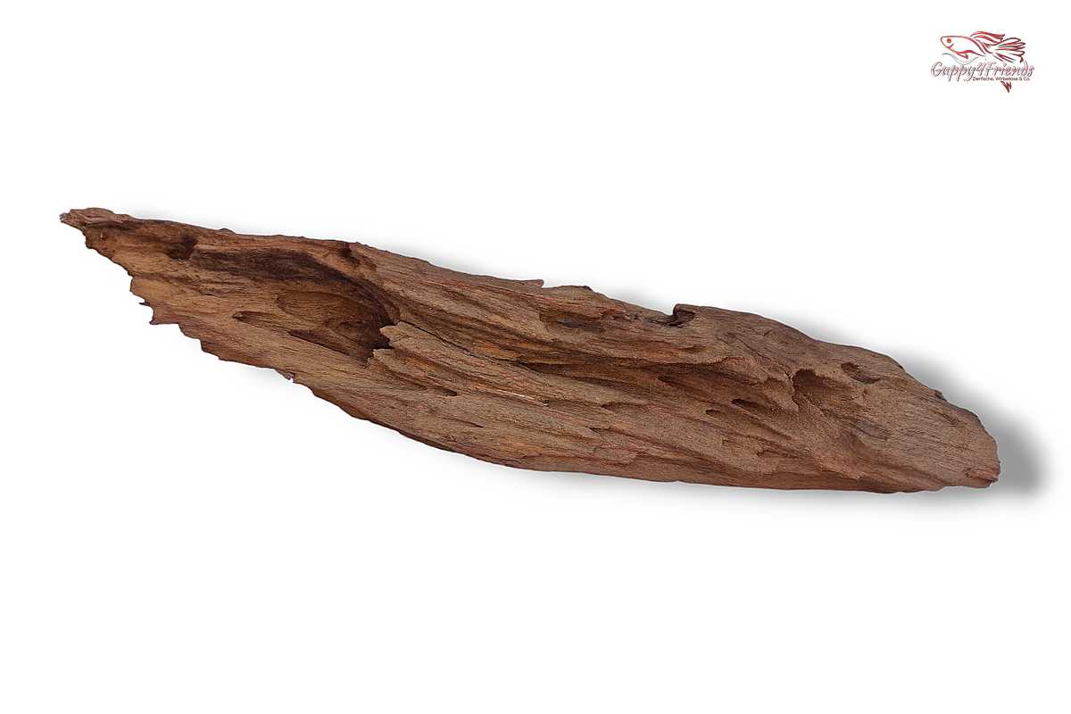 Aquariumwurzel-Aquariumeinrichtung-Aquariumdeko-Mangrove-Mangrovenwurzel-Mangrovenholz-massives-Holz-wuchtige-Optik-Holz-Klassiker-Aquariumwurzeln-L-Welse-Versteckmöglichkeiten-Bepflanzung