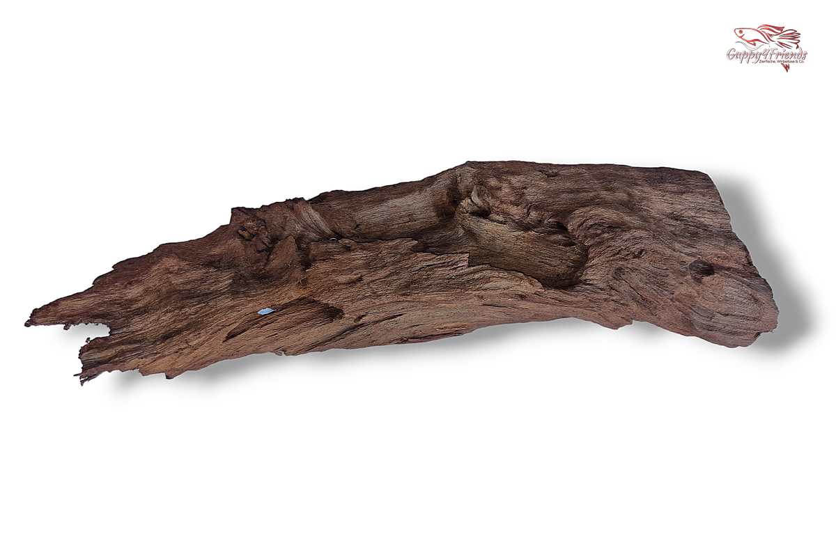 Aquariumwurzel-Aquariumeinrichtung-Aquariumdeko-Mangrove-Mangrovenwurzel-Mangrovenholz-massives-Holz-wuchtige-Optik-Holz-Klassiker-Aquariumwurzeln-L-Welse-Versteckmöglichkeiten-Bepflanzung
