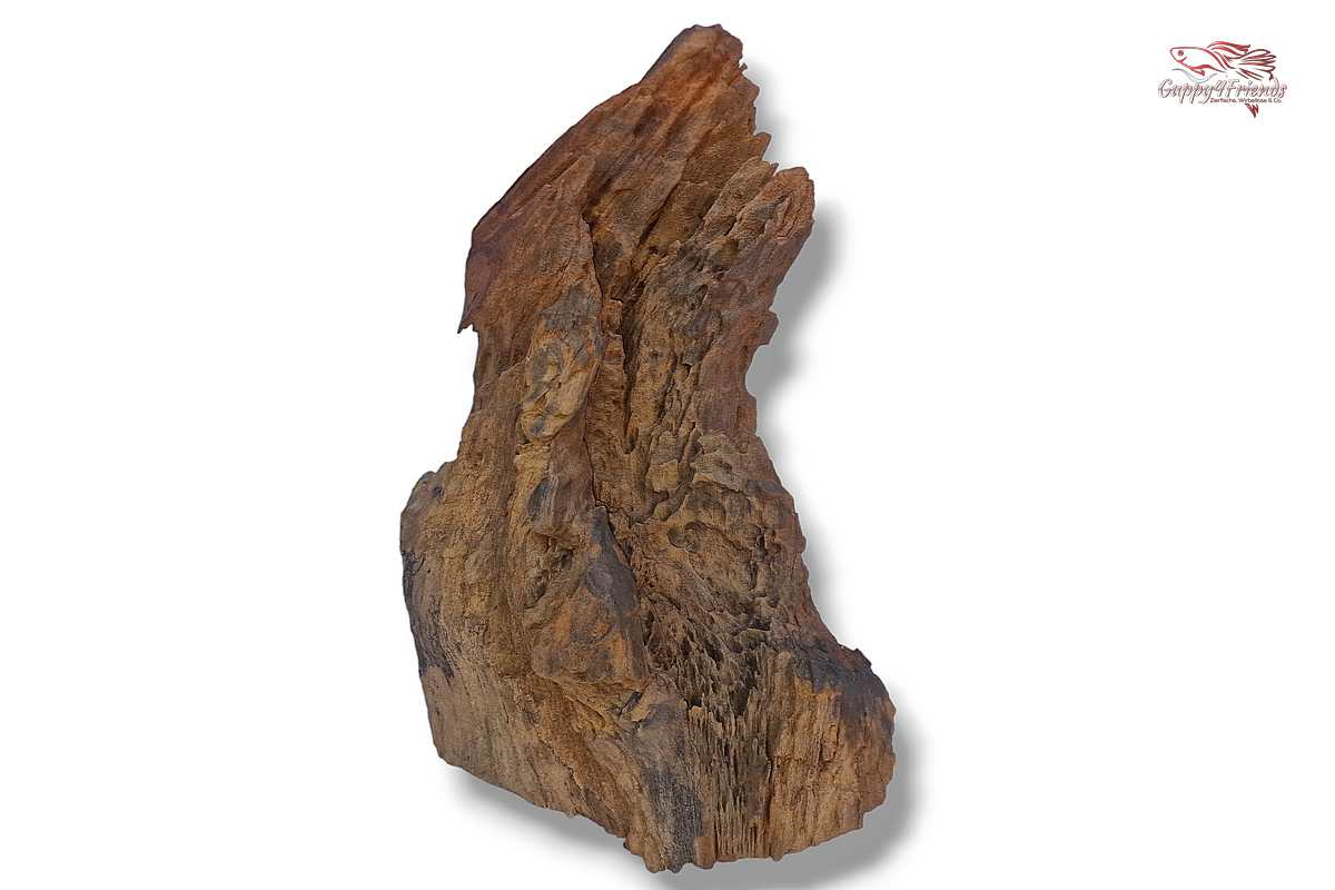 Aquariumwurzel-Aquariumeinrichtung-Aquariumdeko-Mangrove-Mangrovenwurzel-Mangrovenholz-massives-Holz-wuchtige-Optik-Holz-Klassiker-Aquariumwurzeln-L-Welse-Versteckmöglichkeiten-Bepflanzung