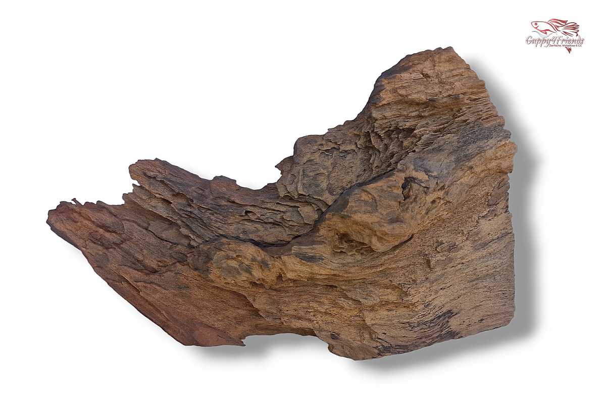 Aquariumwurzel-Aquariumeinrichtung-Aquariumdeko-Mangrove-Mangrovenwurzel-Mangrovenholz-massives-Holz-wuchtige-Optik-Holz-Klassiker-Aquariumwurzeln-L-Welse-Versteckmöglichkeiten-Bepflanzung