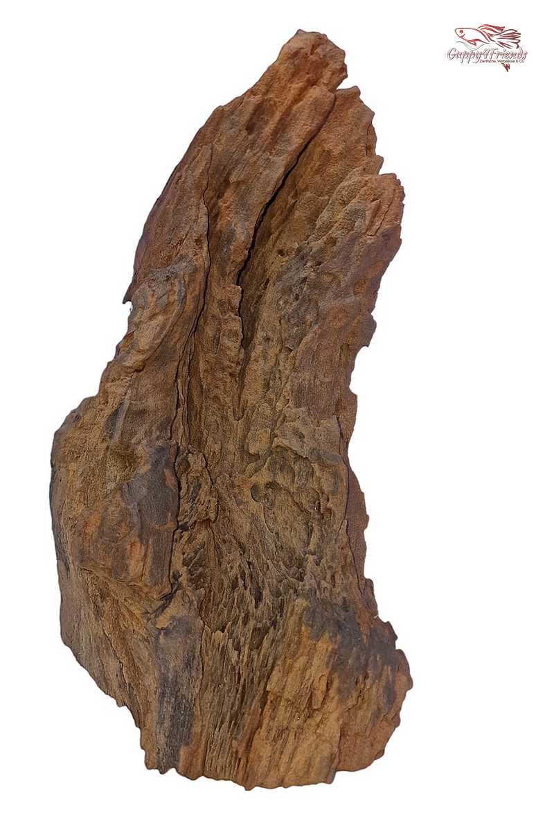 Aquariumwurzel-Aquariumeinrichtung-Aquariumdeko-Mangrove-Mangrovenwurzel-Mangrovenholz-massives-Holz-wuchtige-Optik-Holz-Klassiker-Aquariumwurzeln-L-Welse-Versteckmöglichkeiten-Bepflanzung
